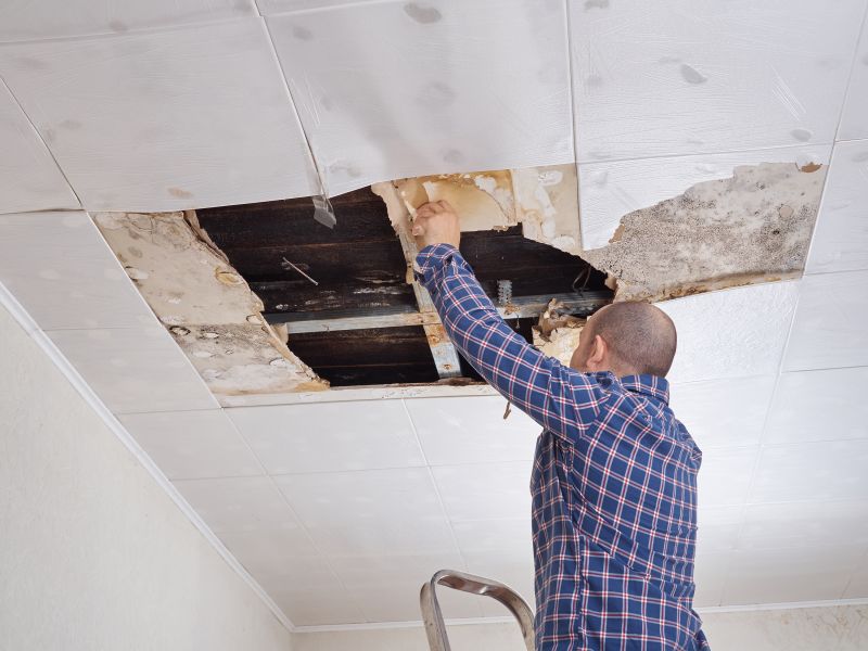 Ceiling Water Damage Repair in Alpharetta, GA